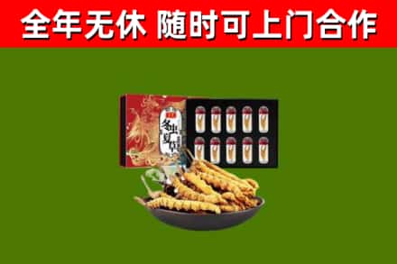 温州烟酒回收冬虫夏草礼盒.jpg